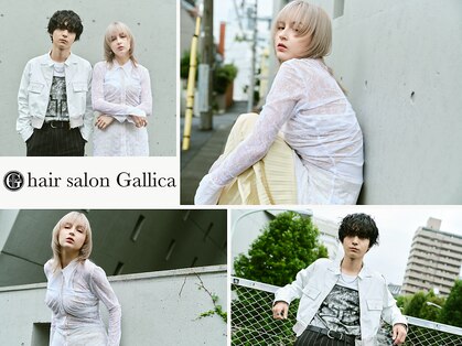 ガリカ 大名(Gallica)の写真