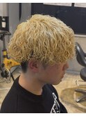 ホワイトブロンド波巻プードル