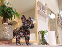 チィ(Chii)の雰囲気（ゆったりくつろいでいただけます。）