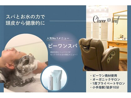 クローバーリーフ(Clover Leaf)の写真