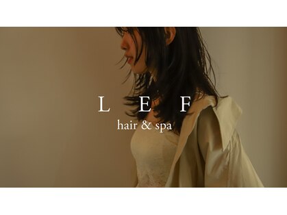 レフ(LEF)の写真