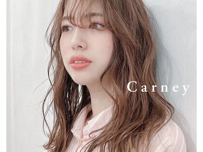 カーニー(Carney)の写真