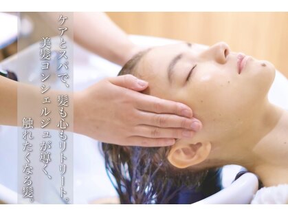 ムーア(MUA)の写真