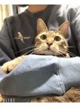 ウタ(uta)&nbsp;家には可愛い猫ちゃんがいます♪