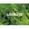 アブリコ(ABRICOT)のお店ロゴ
