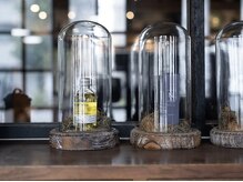 エルクバイコットン(elk by Cotton)の雰囲気（本物のアンティーク家具に囲まれた、開放的な店内☆ [elk 平塚]）