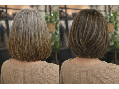 スノードロップ(SNOW DROP)の写真