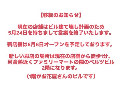 デイジーロータス(DAISYLOTUS)の写真