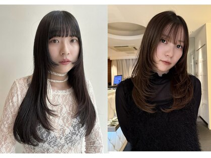 ヤヨイブレインズフェアリー(YAYOI BRAINS fairy)の写真