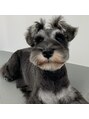 8 ヘアサロン(8 Hair Salon)&nbsp;ミニチュアシュナウザーのJohnです☆