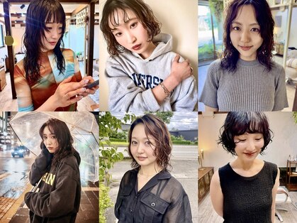 コヨミ(583)の写真