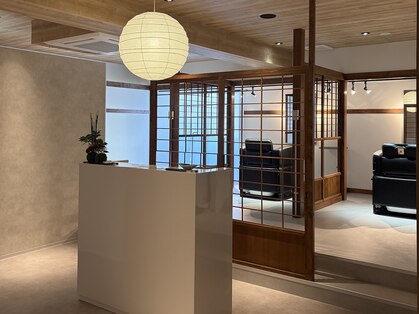 ティディ(Tidi)の写真