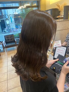 トーメイ(tomei) marron brown