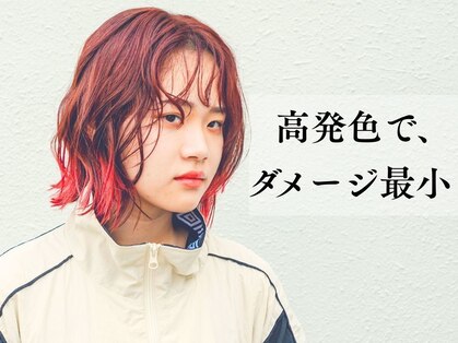 ララ(LALA)の写真