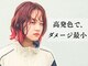 ララ(LALA)の写真