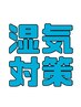 【湿気に負けない！】 超得ストレートパーマのクーポン！￥23150→16880！！