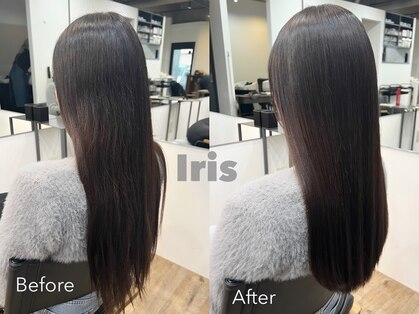 イリス(Iris)の写真