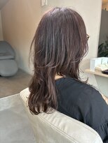 本と南風 guest design