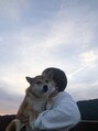 ディフィー(Defi) 柴犬と暮らしてます。