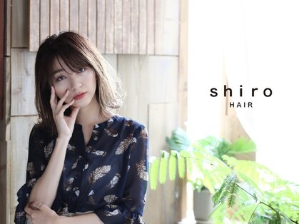 シロヘアー(shiro hair)の写真