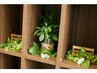 【大人気】似合わせカット+髪質改善カラー+頭皮スパ　￥12000