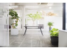ヘアーサロン カシュカシュ(hair salon Cache cache)の雰囲気（清潔感のある店内。お一人様ずつ完全予約なので待ち時間もなし）