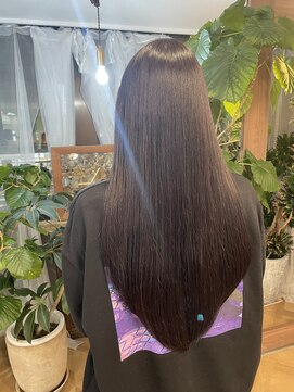 インビテーション(invitation) ダークバイオレットカラー