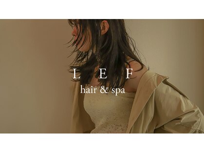 レフ(LEF)の写真