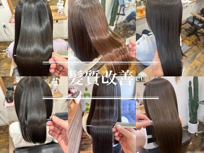 ビオス(Bios)の写真