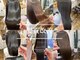 ビオス(Bios)の写真