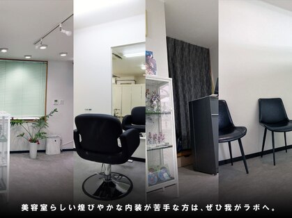 夜髪の写真