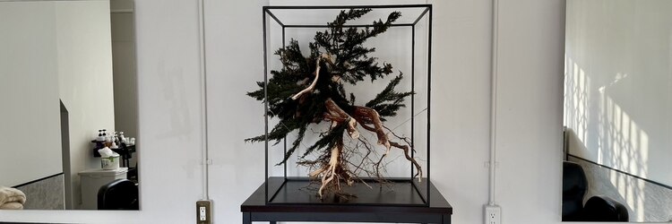 アルトラ(ALTLA)のサロンヘッダー