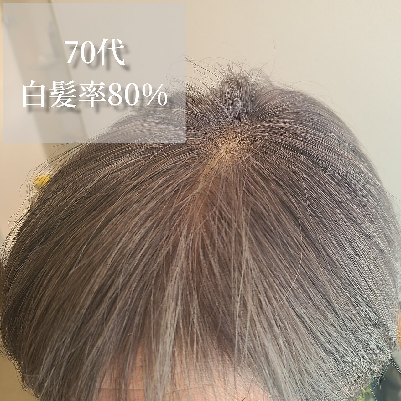 白髪ぼかし【初回施術はハイライト】70代白髪率80