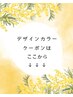 デザインカラークーポンはここから下です↓