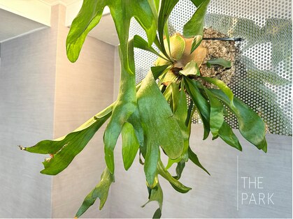 ザパーク(THE PARK)の写真