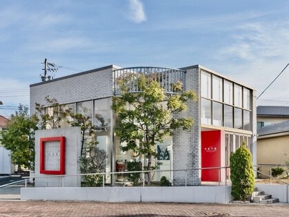 ノーバ(nova)の写真