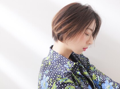 タイズ(ties)の写真