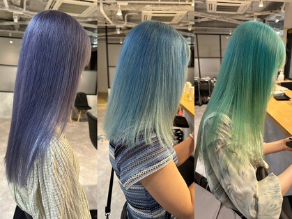 シラフ(SHIRAF)の写真