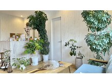 トムヘアー(TOM HAIR)