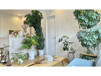 トムヘアー(TOM HAIR)の写真