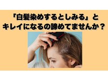 アルト(Alto)