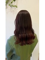 ビオトープ(Bio Top)&nbsp;チェリーレッドブラウン