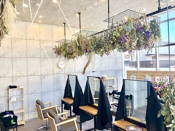 オーガニックカラー専門店 TheColor 蘇我ベイフロント店【ザ・カラー】