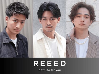 リード(REEED)の写真