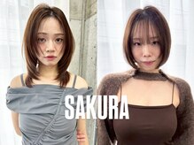 サクラ オモテサンドウ(SAKURA)