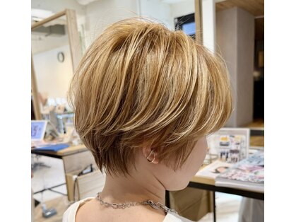 ウィルドレス(WiLL DRESS)の写真