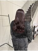 ツヤツヤローズレッド＊*
