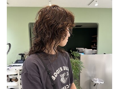 サビィ(Sabby)の写真