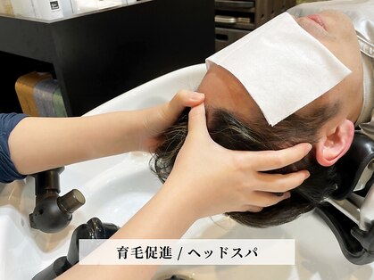 カミケンオム(kamiken. homme)の写真