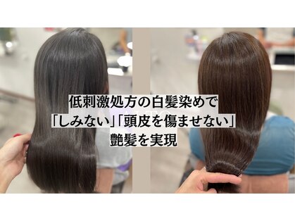 アルト(Alto)の写真